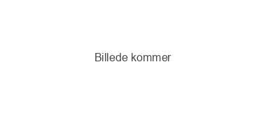 Hatte