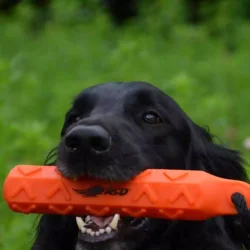 Avery Sporting Dog Hexabumper XL