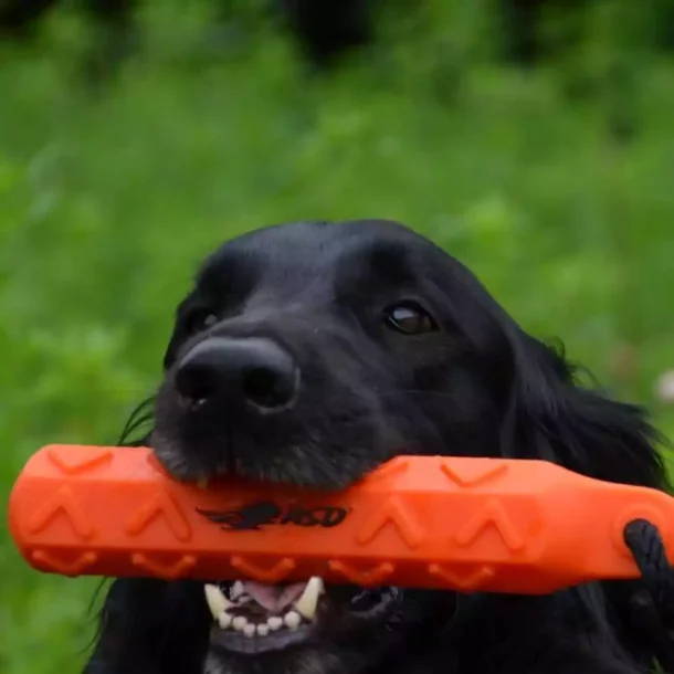  Avery Sporting Dog Hexabumper