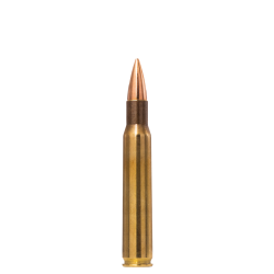 Norma Range & Training 30-06 Spr. 9,7g / 150 Grain 