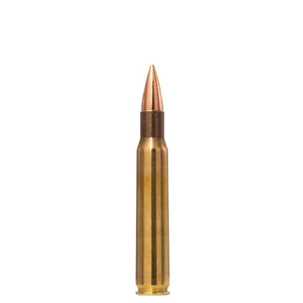 Norma Range & Training 30-06 Spr. 9,7g / 150 Grain 