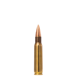 Norma Range & Training 308 Win. 9,7g / 150 Grain