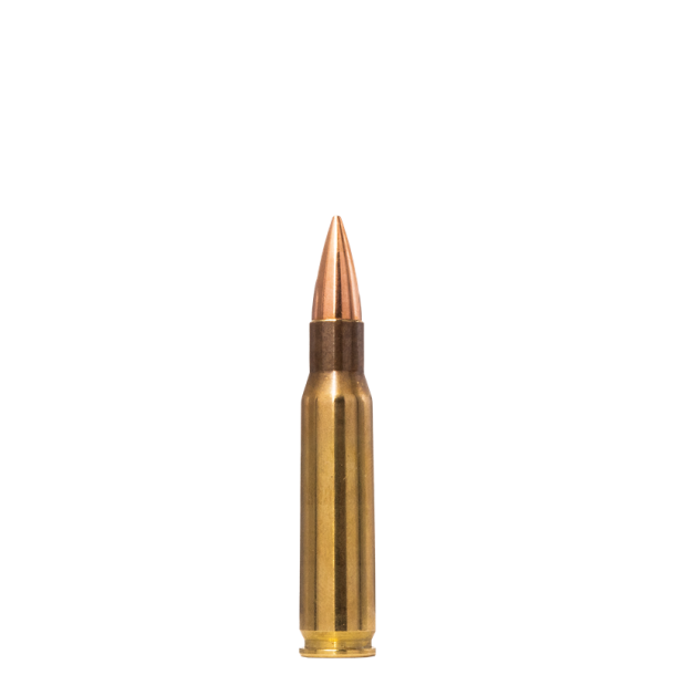 Norma Range & Training 308 Win. 9,7g / 150 Grain