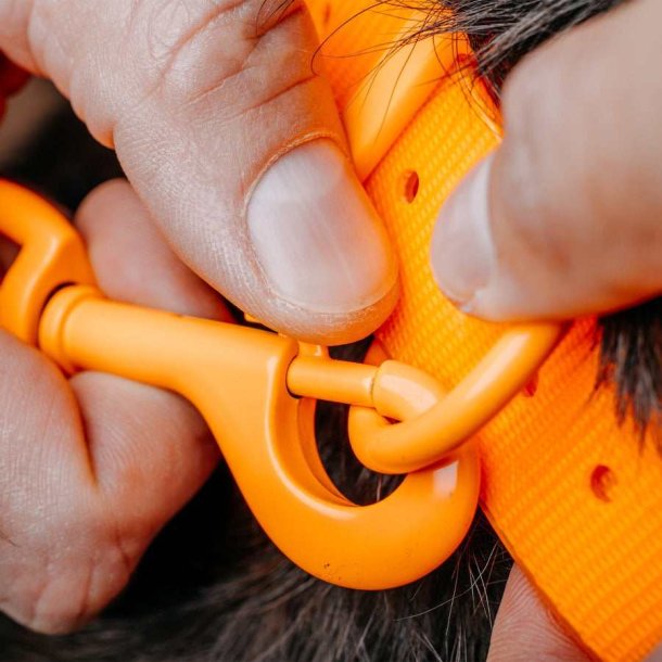 HP&G Sporline 9m m/ karabinhage - Signal Orange