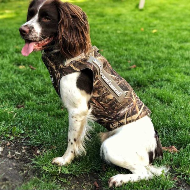  5 mm neopren hundevest fra Banded