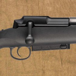 Mauser 25 Extreme