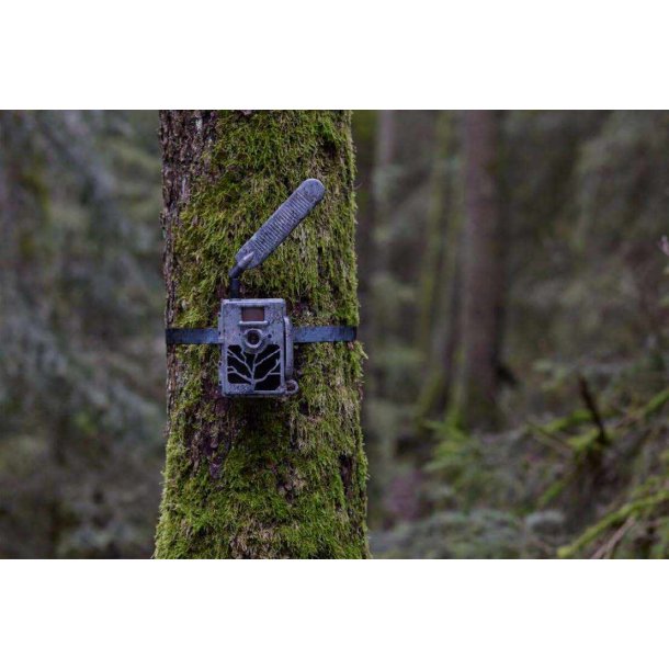 Zeiss Secacam 3 Vildtkamera m/ 4G simkort &amp; batterier