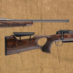 Mauser 25 Max