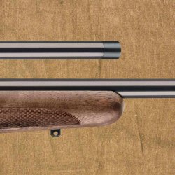 Mauser 25 Pure