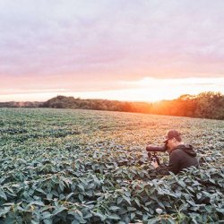 Vortex Crossfire HD 12-36x50A (angled) Udsigtskikkert