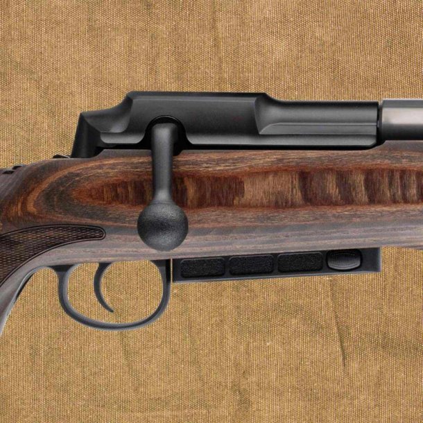 Mauser 25 Max