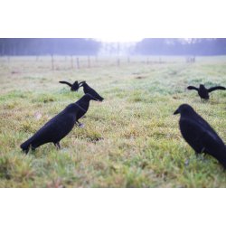 Lokkekrage Full Body - Flocked