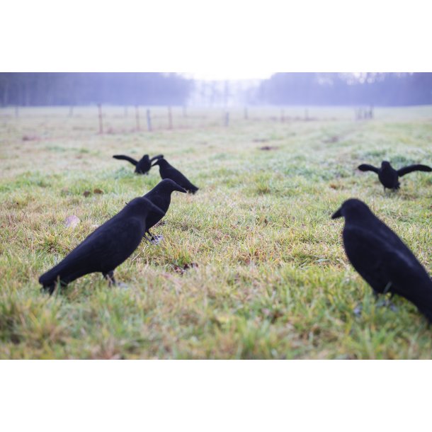 Lokkekrage Full Body - Flocked