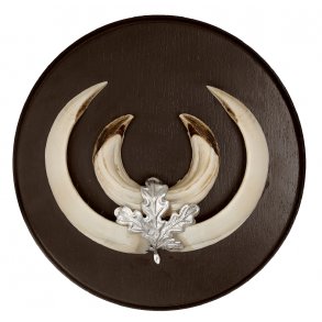 Mjoelner Vildsvineplade 