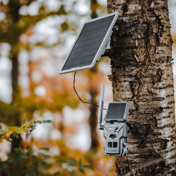 Spypoint FLEX-S vildtkamera m/ solcelle - 100 gratis MMS hver mned