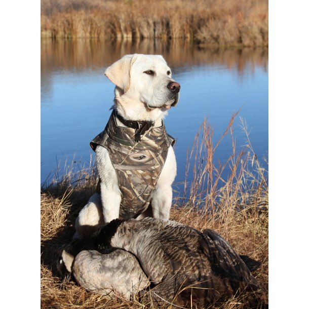 ASD Boater's Dog Parka 5mm Neopren Hundevest