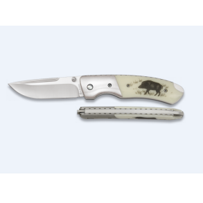 Albainox Foldekniv | Ivory - Vildsvin | 8cm
