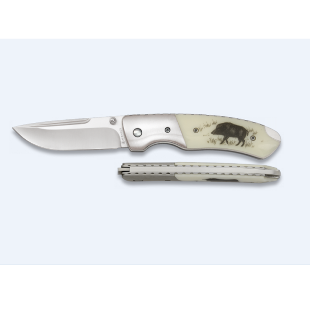 Albainox Foldekniv | Ivory - Vildsvin | 8cm