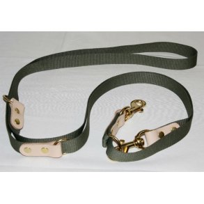 BLF Dressurline Webbing - 25mm x 250cm - Grn