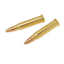 CCI 17HMR GAME Point