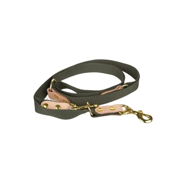 BLF Dressurline Webbing 8mm x 180cm