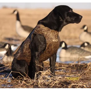  Neopren hundevest fra Avery