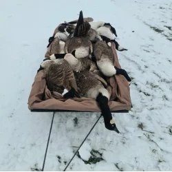  Stor Beavertail sl�de med pose til lokkeg�s