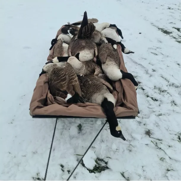  Stor Beavertail sl�de med pose til lokkeg�s