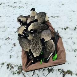  Stor Beavertail sl�de med pose til lokkeg�s