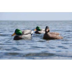 Lokkender Avian-X Grnder Open Water  6 stk.