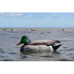 Lokkender Avian-X Grnder Open Water  6 stk.