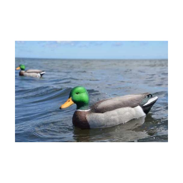 Lokkender Avian-X Grnder Open Water  6 stk.