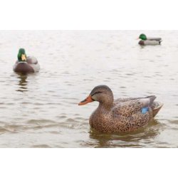 Lokkender Avian-X Grnder Open Water  6 stk.