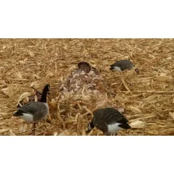 Beavertail 3D camo tppe - Golden Grain