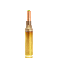 Lapua .243w Naturalis 5.8 g / (90 Grain)