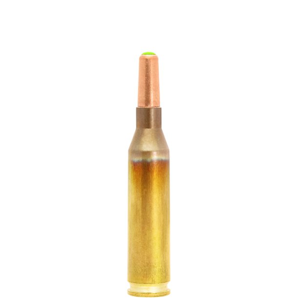 Lapua .243w Naturalis 5.8 g / (90 Grain)