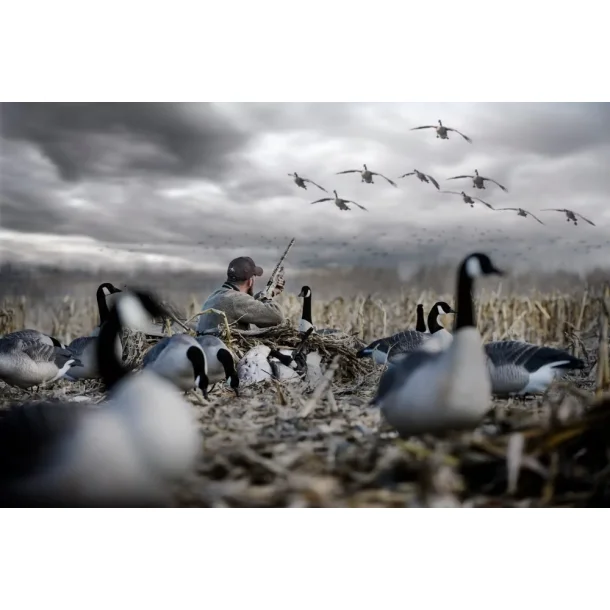  Rig'Em Right Low Rider 3 - Optifade Marsh