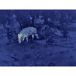 Steiner Nighthunter Termisk H35 hndholdt spotter