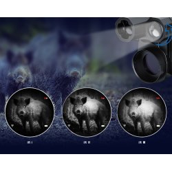 NV007SP Digital Natsigte