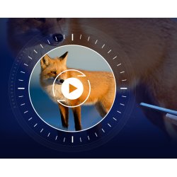 NV007SP Digital Natsigte