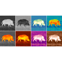 Pulsar Axion XQ30 Pro