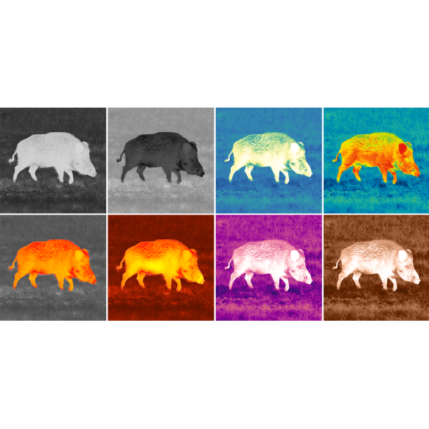 Pulsar Axion XQ30 Pro