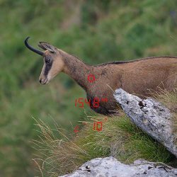 GPO Range Guide 3200