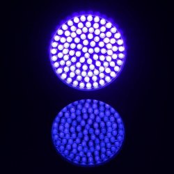 SIE Light UV/ravlygte