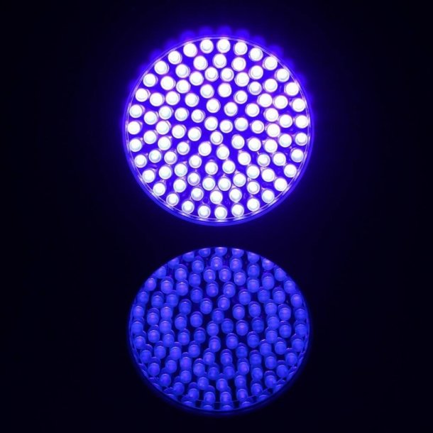 SIE Light UV/ravlygte