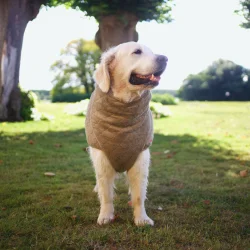 Siccaro Supreme 2.0 Hundedkken