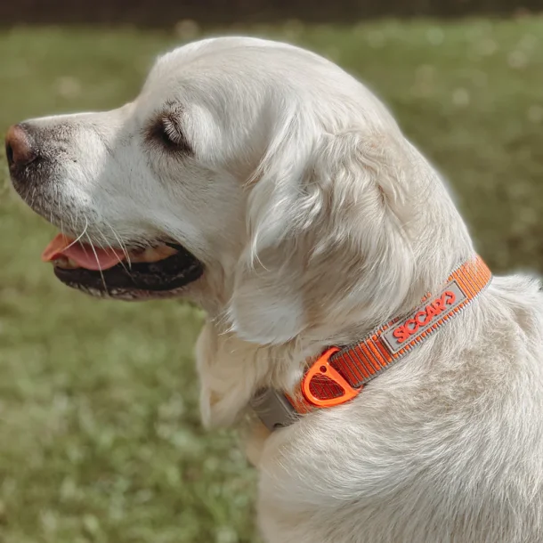 Siccaro Sealines Halsbnd - 100% Genanvendt Nylon