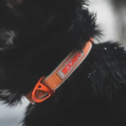 Siccaro Sealines Halsbnd - 100% Genanvendt Nylon