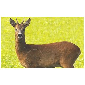 DJF Riffelpr�ve bukkeskiver - 10 stk