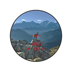 Steiner Ranger LRF 10x42 Hndkikkert m/ afstandsmler